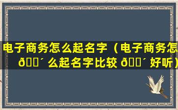 电子商务怎么起名字（电子商务怎 🌴 么起名字比较 🐴 好听）